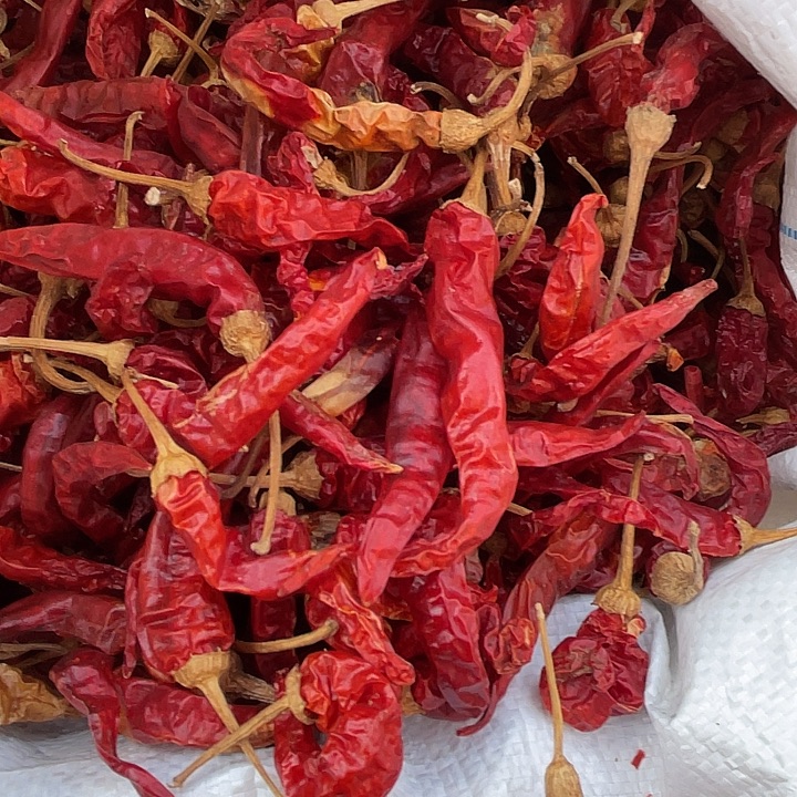 中国大陆本地干红辣椒1斤