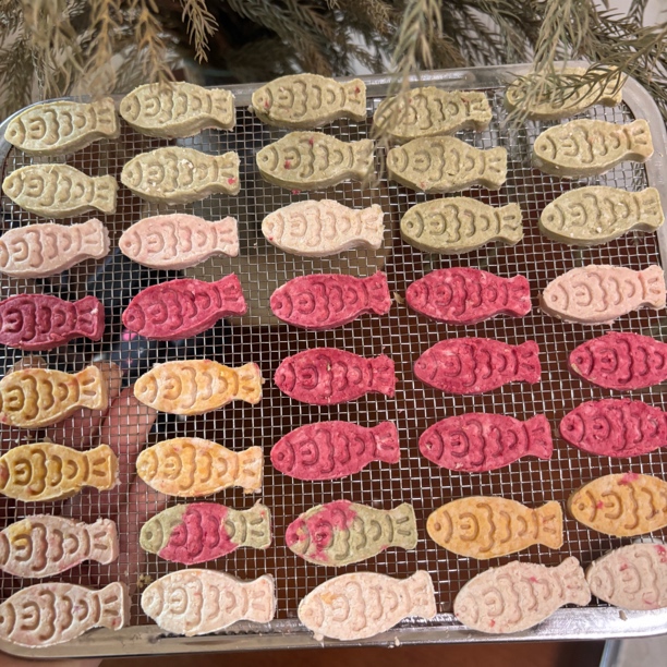 宠物小鱼饼干奖励零食猫狗仓鼠通用纯手工0添加0防腐训练奖励