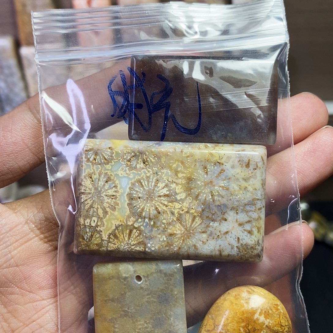 硅化珊瑚（珊瑚玉）吊坠未镶嵌时****铺