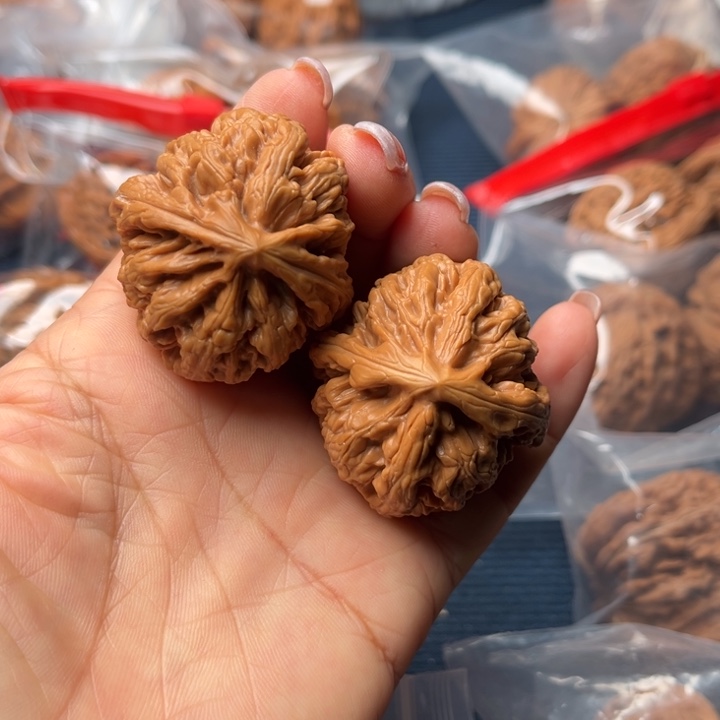 核桃38红锦鲤微修