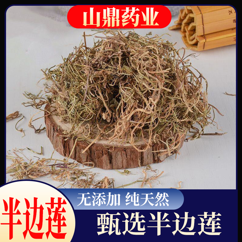 山鼎药业【半边莲】精选货正宗 新鲜 半边花细米草半边连