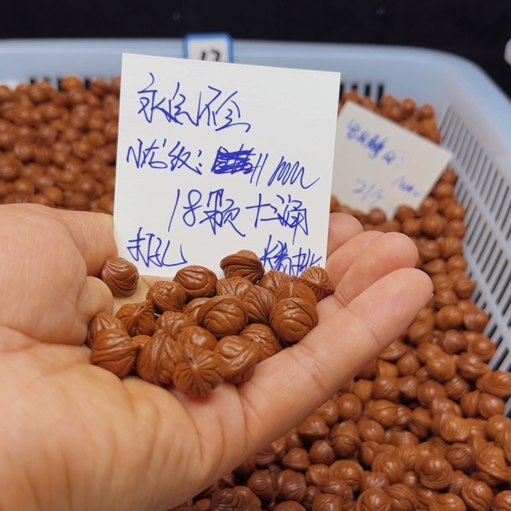 桃核吊坠永**会小龙纹11尺寸