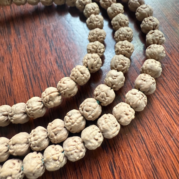 原装五爪金龙佛手小金刚菩提手串