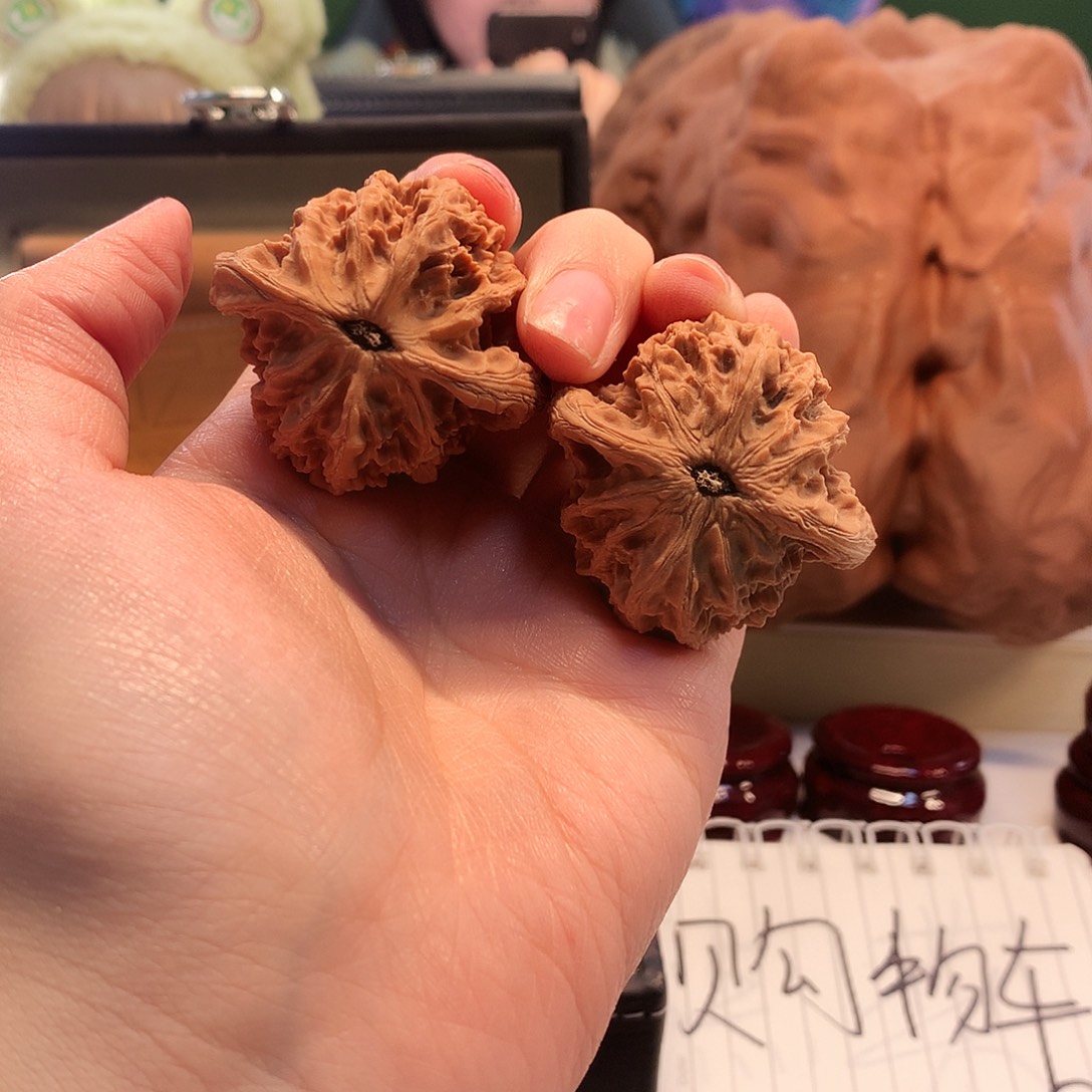 我***鸡吊坠桃核粗筋王全品