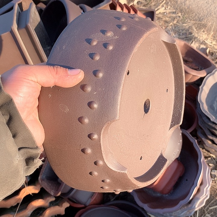 紫砂我要努力赚钱给你们