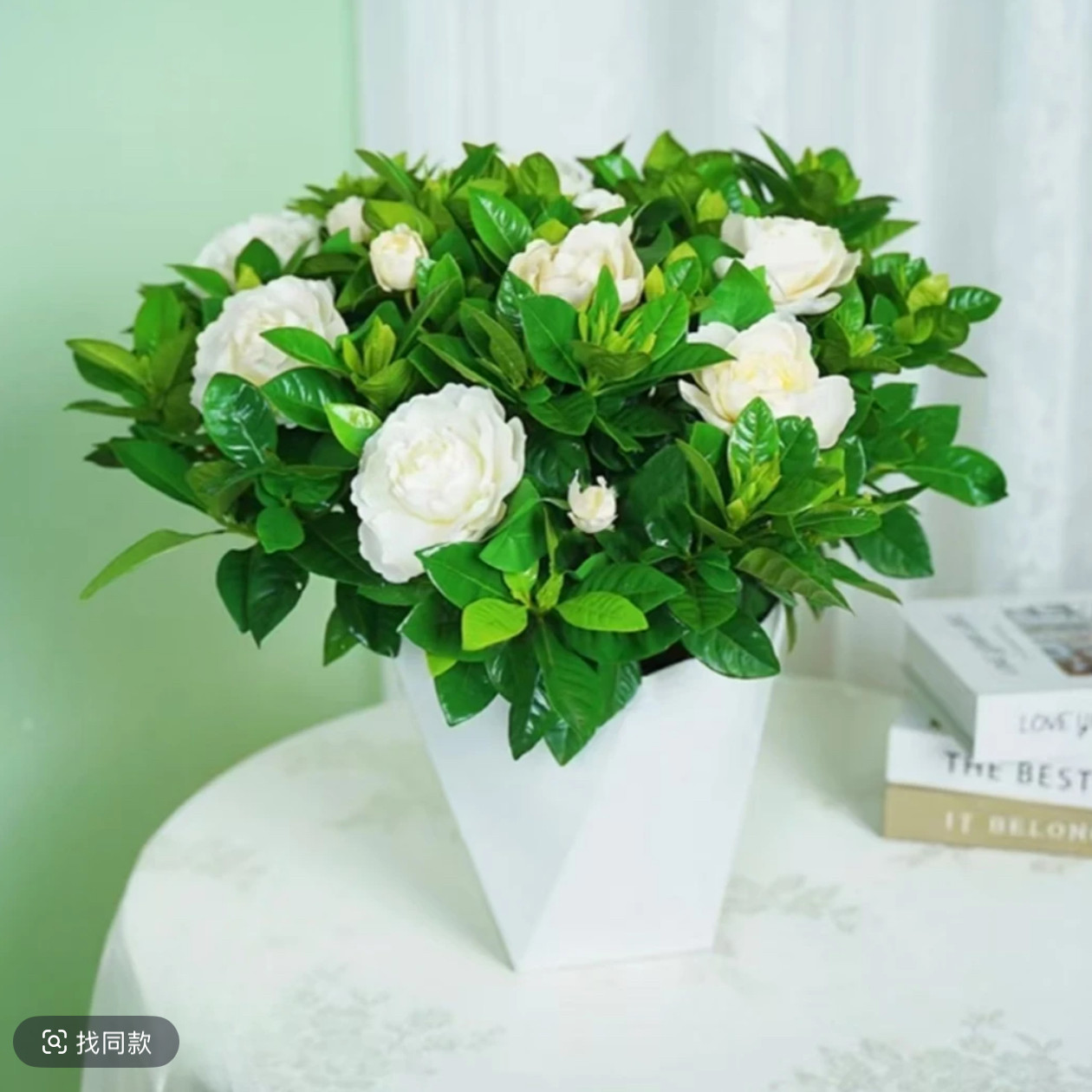 带花苞栀子花浓香型盆栽花卉植物室内四季好养