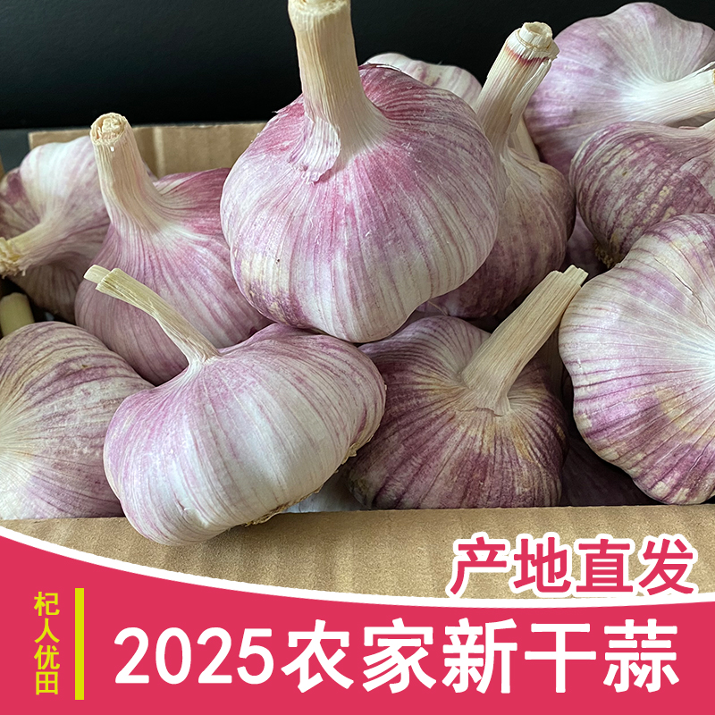 2025年5斤新干蒜紫白皮大蒜源头产地直发大蒜头9斤大蒜可种