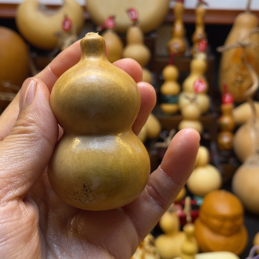 花*葫芦等多种颜色的小动物和动物的生活