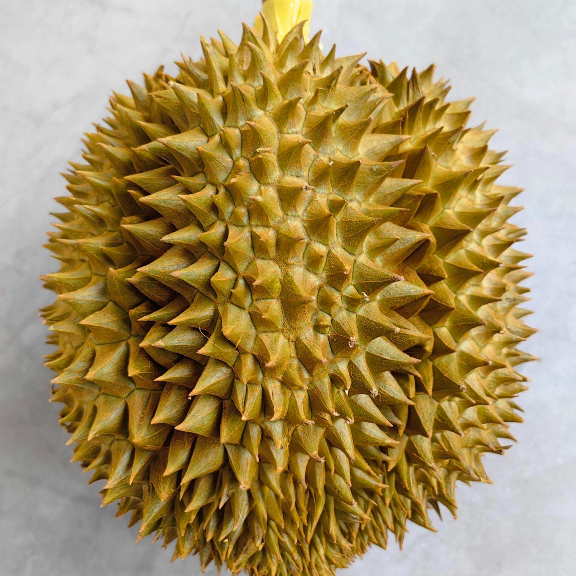 （整果一物一拍）泰国金枕树熟榴莲AA级新鲜现开核小肉厚斤金枕泰国