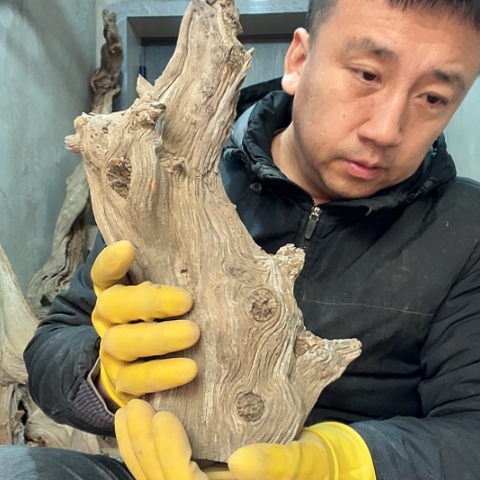 柏木林*崖柏毛料的