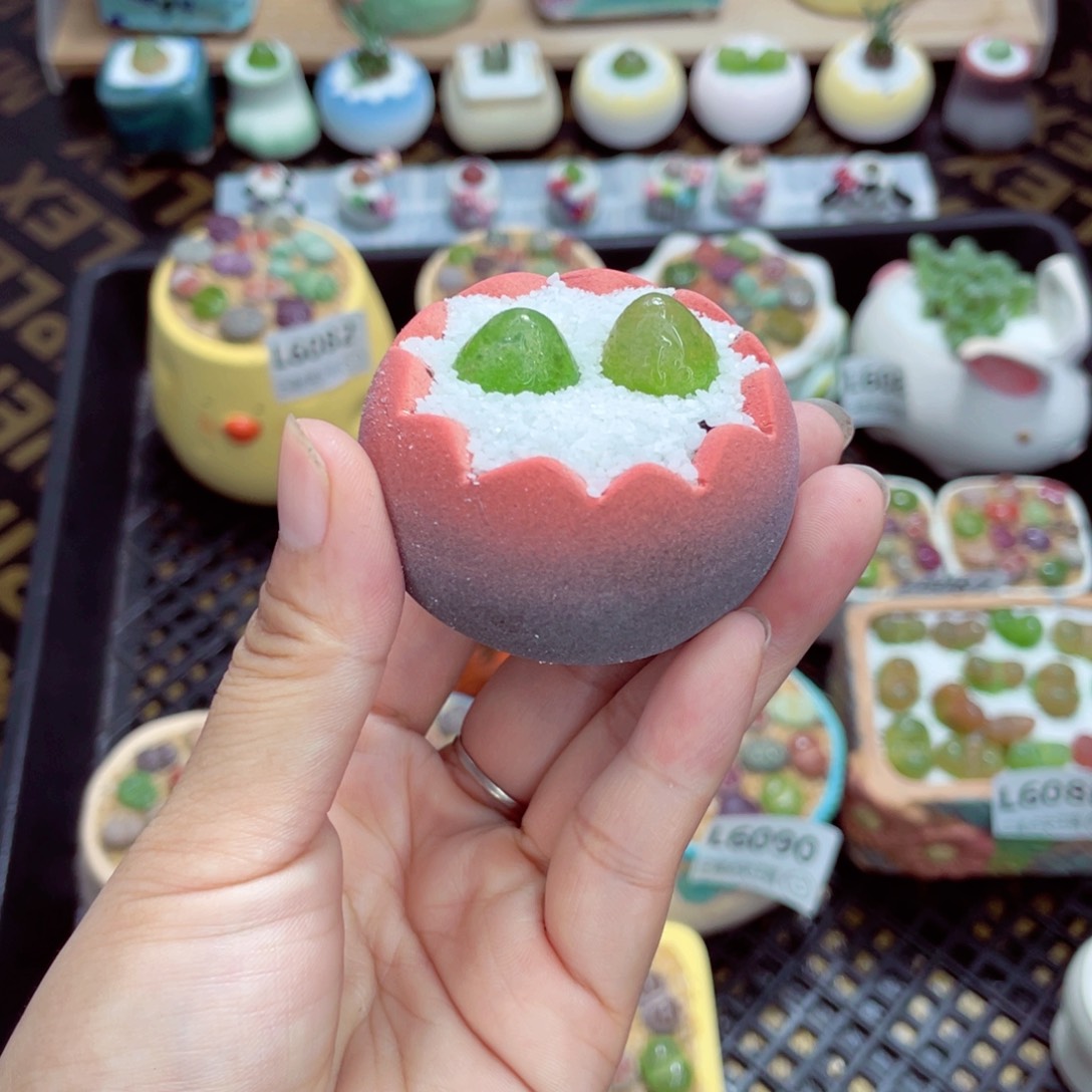 w6094 带盆土发货一物一拍