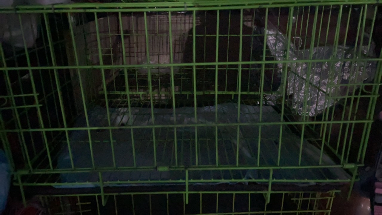 阿拉斯加扁狗笼子