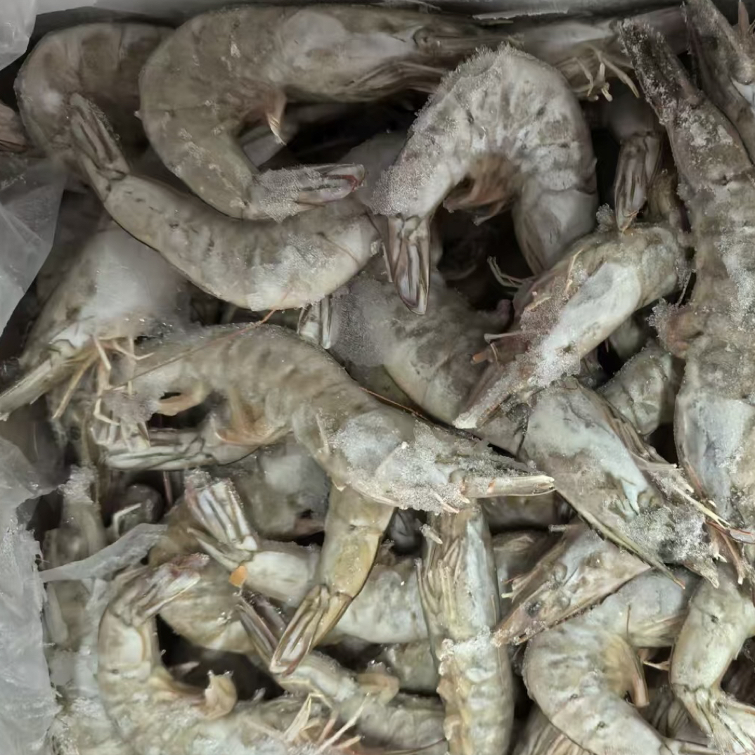 生冻盐田虾三斤/六斤，低密度盐田养殖，肉质紧实