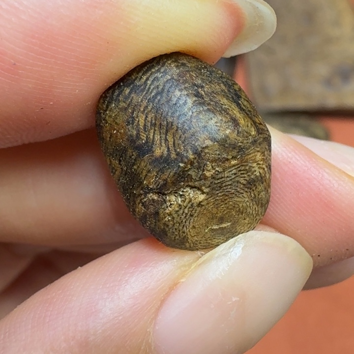 沉香沉香碎屑馨安居沉香888888