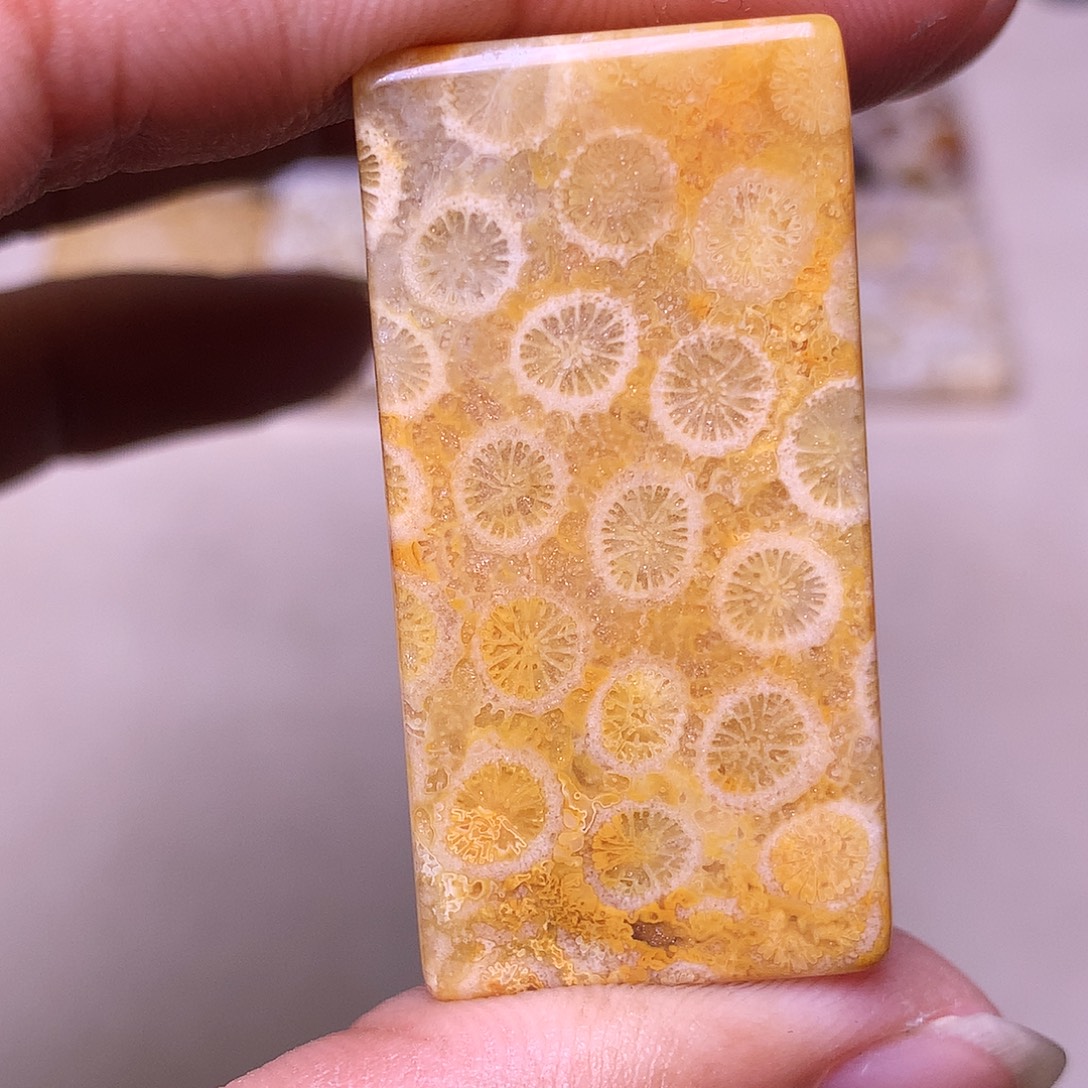 种***子硅化玉合金珊瑚玉