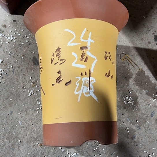 紫砂工艺厂……紫砂工艺厂……