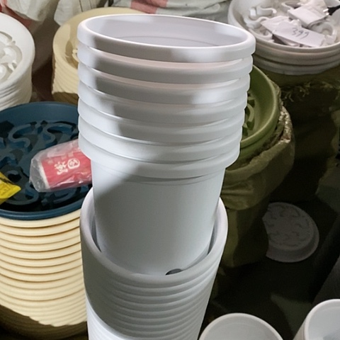 树脂四季2号12个无托白色