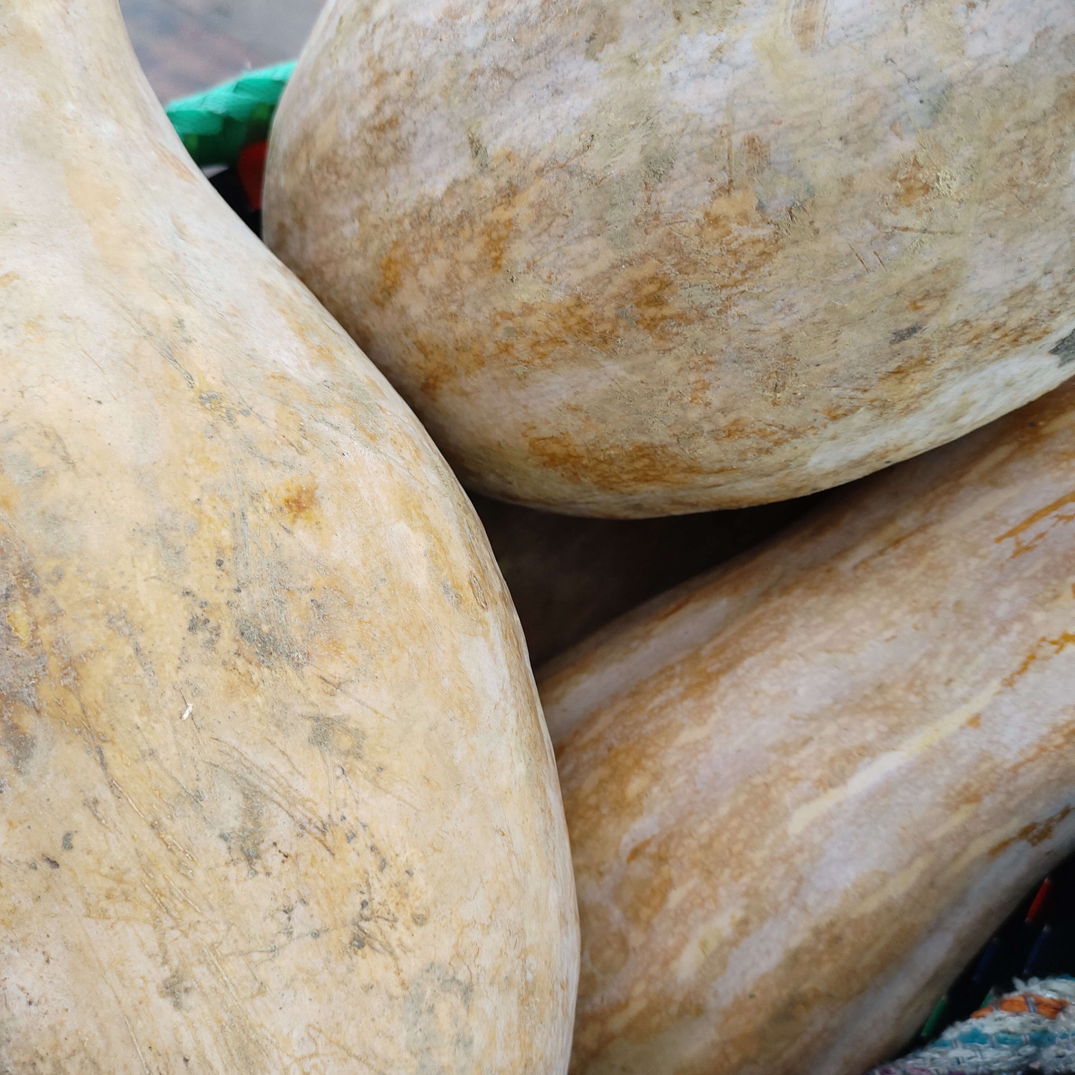 【村民代卖】大巴山南瓜