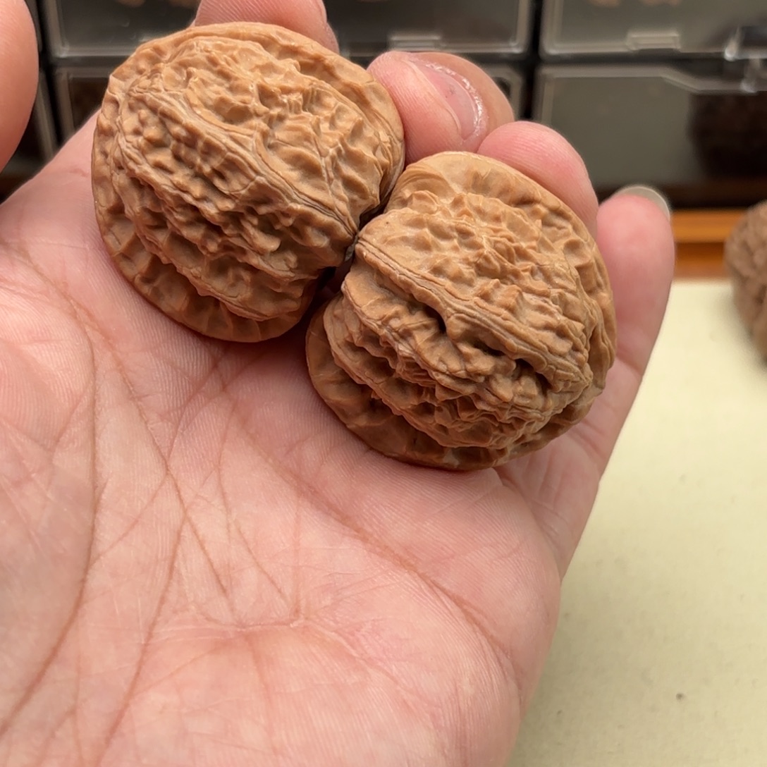 当***少文玩核桃把件白狮子