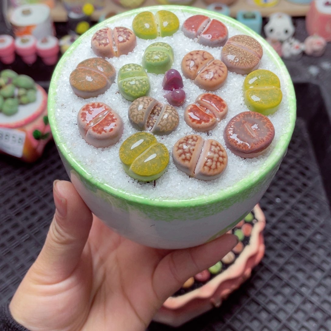 w3859 带盆土发货-零下地区拍保温箱