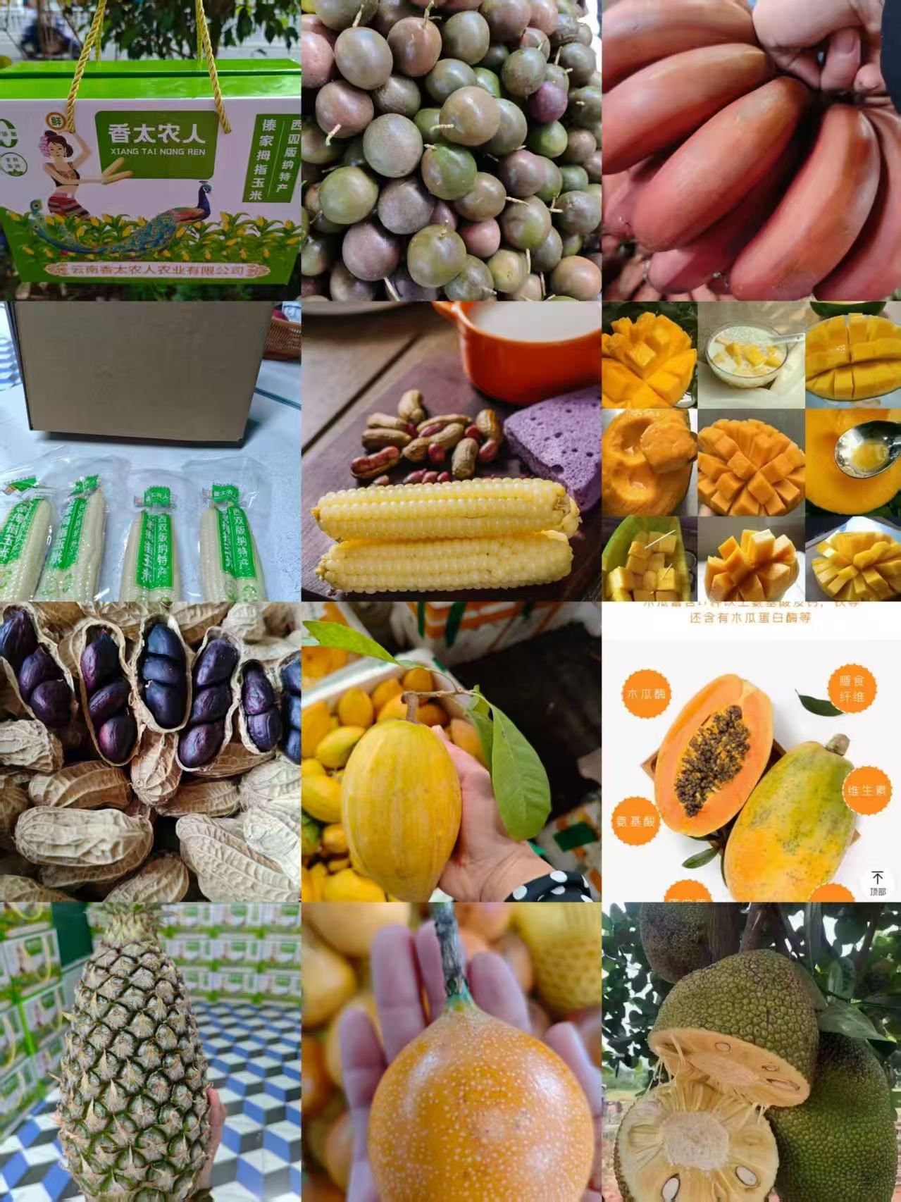 三号链接（香香）现场为您代买特产、水果、山货购买后不包售后不退款