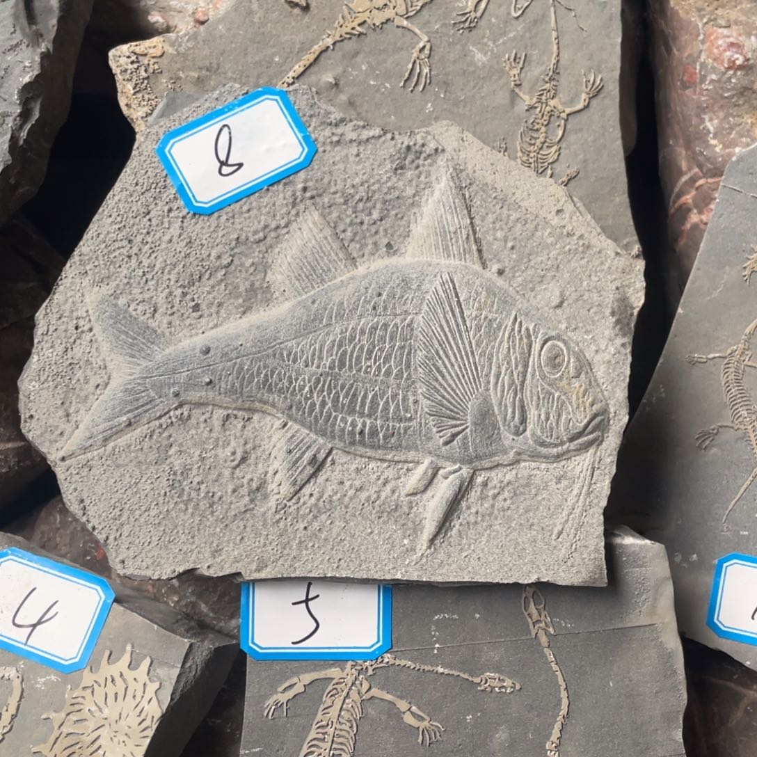 石材8888888888888888888