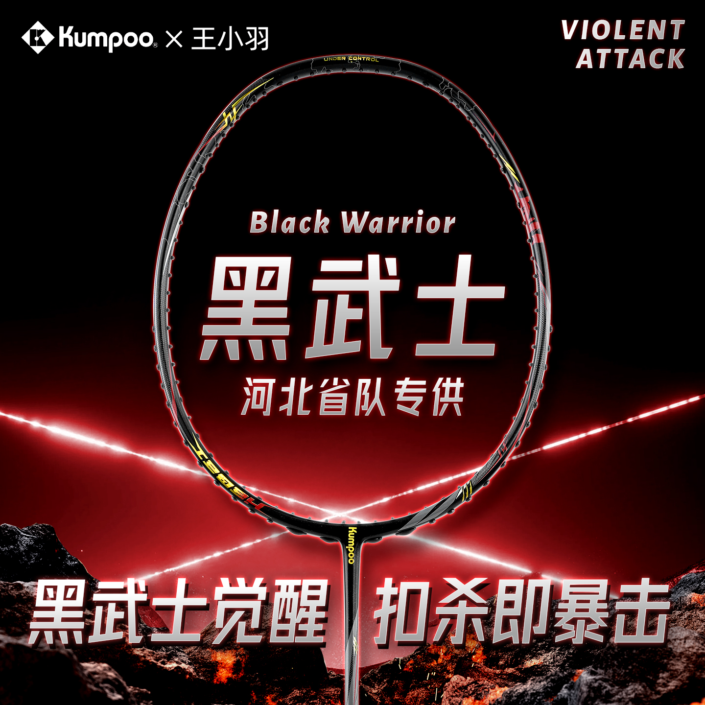 【王小羽专属】薰风河北省队羽毛球拍国伦2300河北省队版比赛单拍