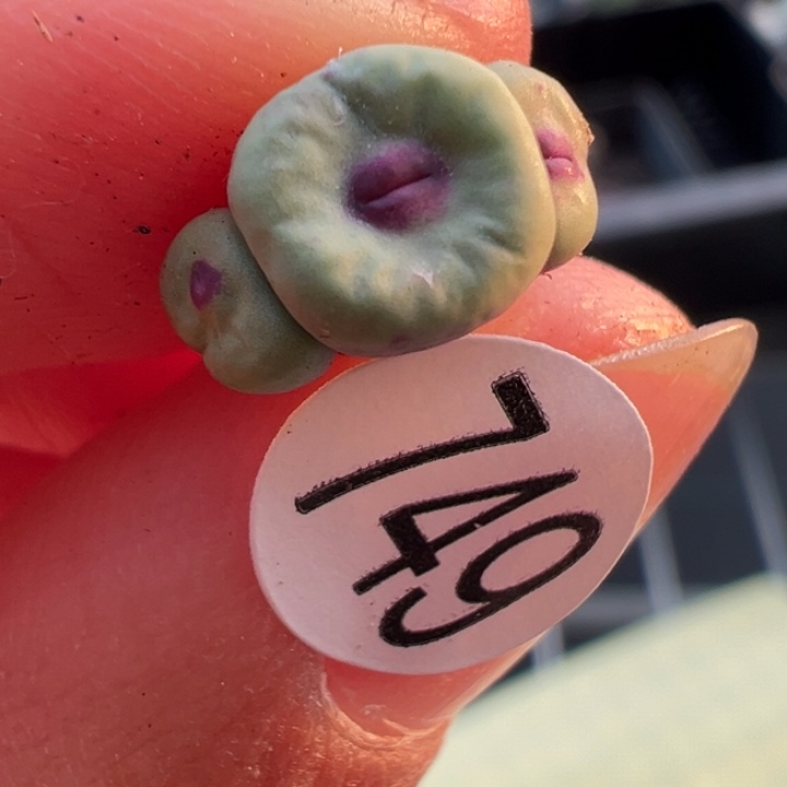 749号111111111111111111