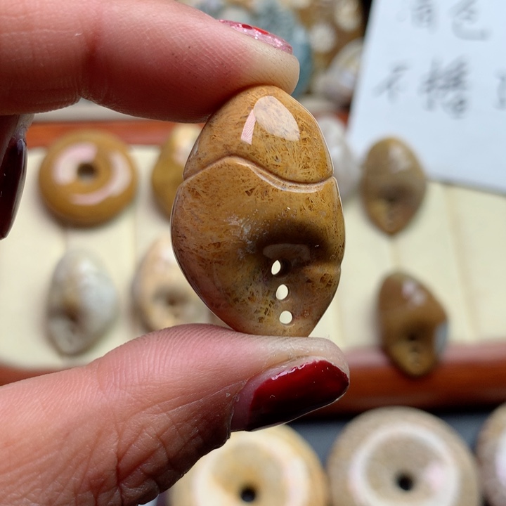 硅化珊瑚（珊瑚玉）颈饰未镶嵌