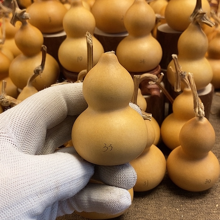 文玩葫芦 完美主义者 慎拍33