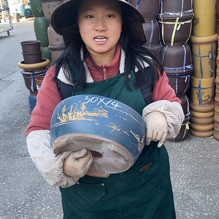 紫砂花盆盆栽花卉苗木种植