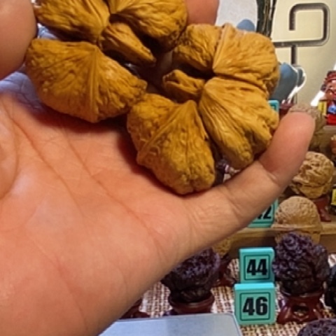 7***人龙脊菩提吊坠三联体