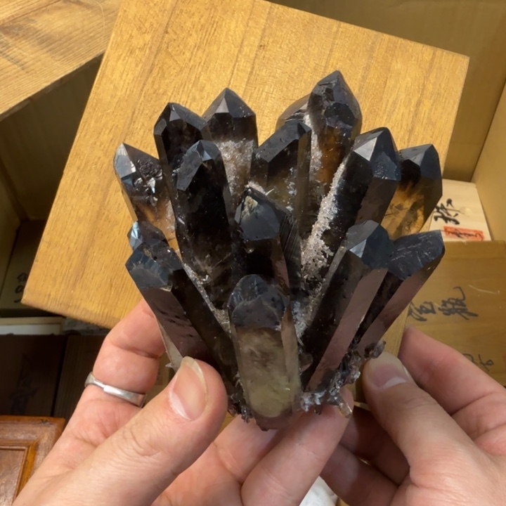 闪购商品多样性发一