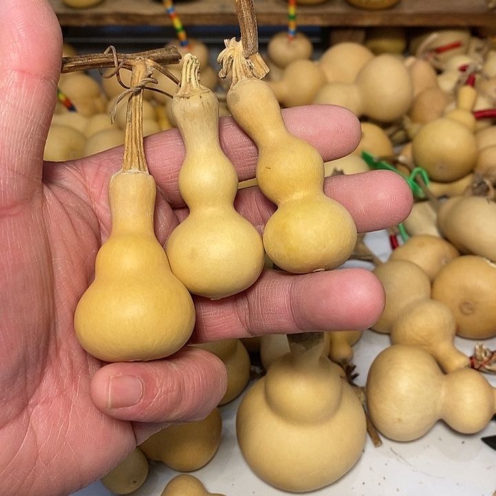 小*精品葫芦手把葫芦78