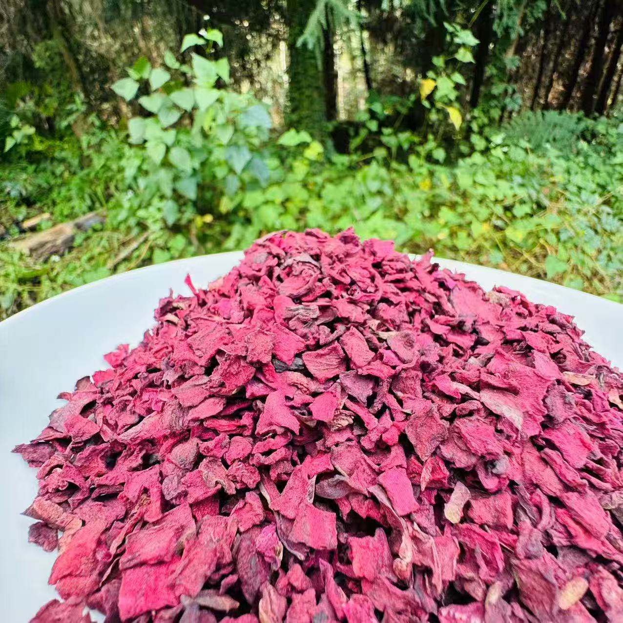 1【藏-血-灵-参-菇】净含量250g-1000g【阿虎现收】