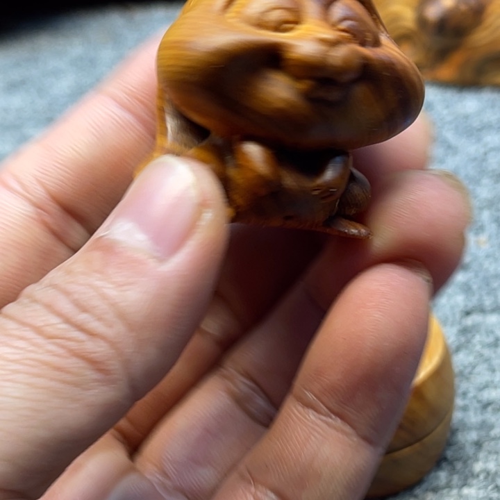 柏木（崖柏）崖柏121