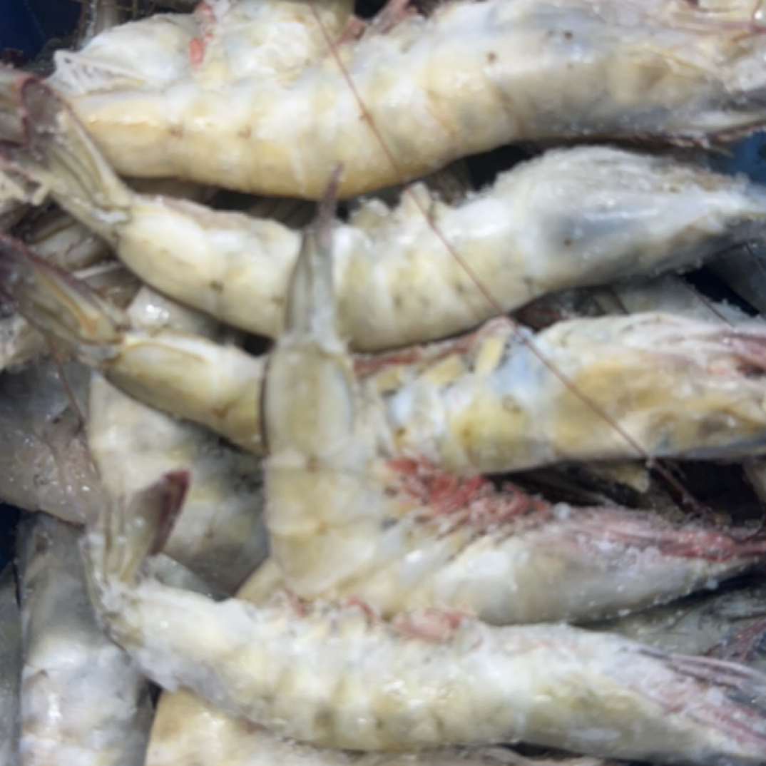 盐甜虾30-40净重3斤