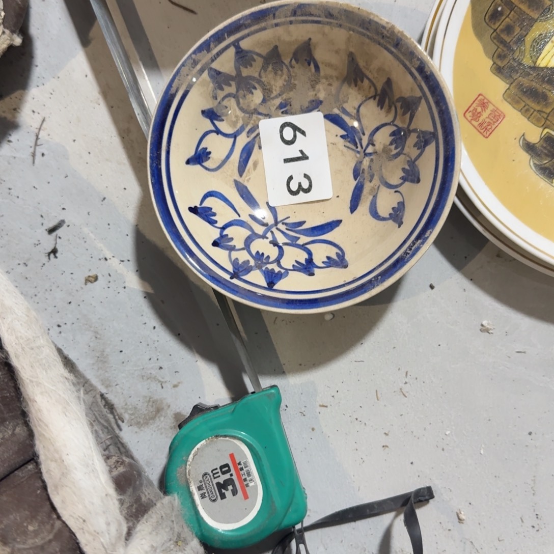 不***学茶盏在这个充满生机又神秘