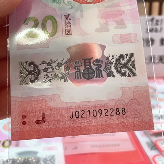 塑料小蛇钞021092288 朦胧双喜号