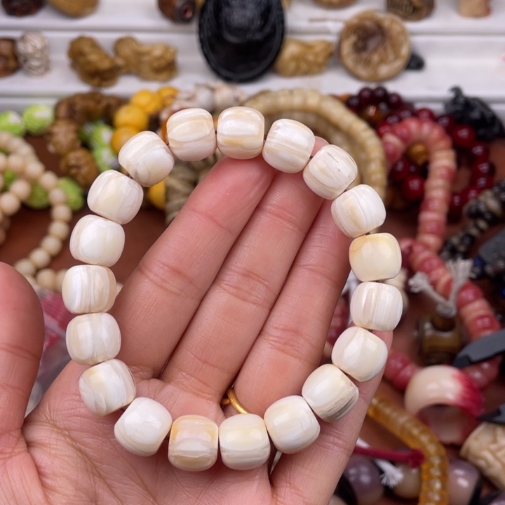 驼骨其他骆驼骨驼牙12