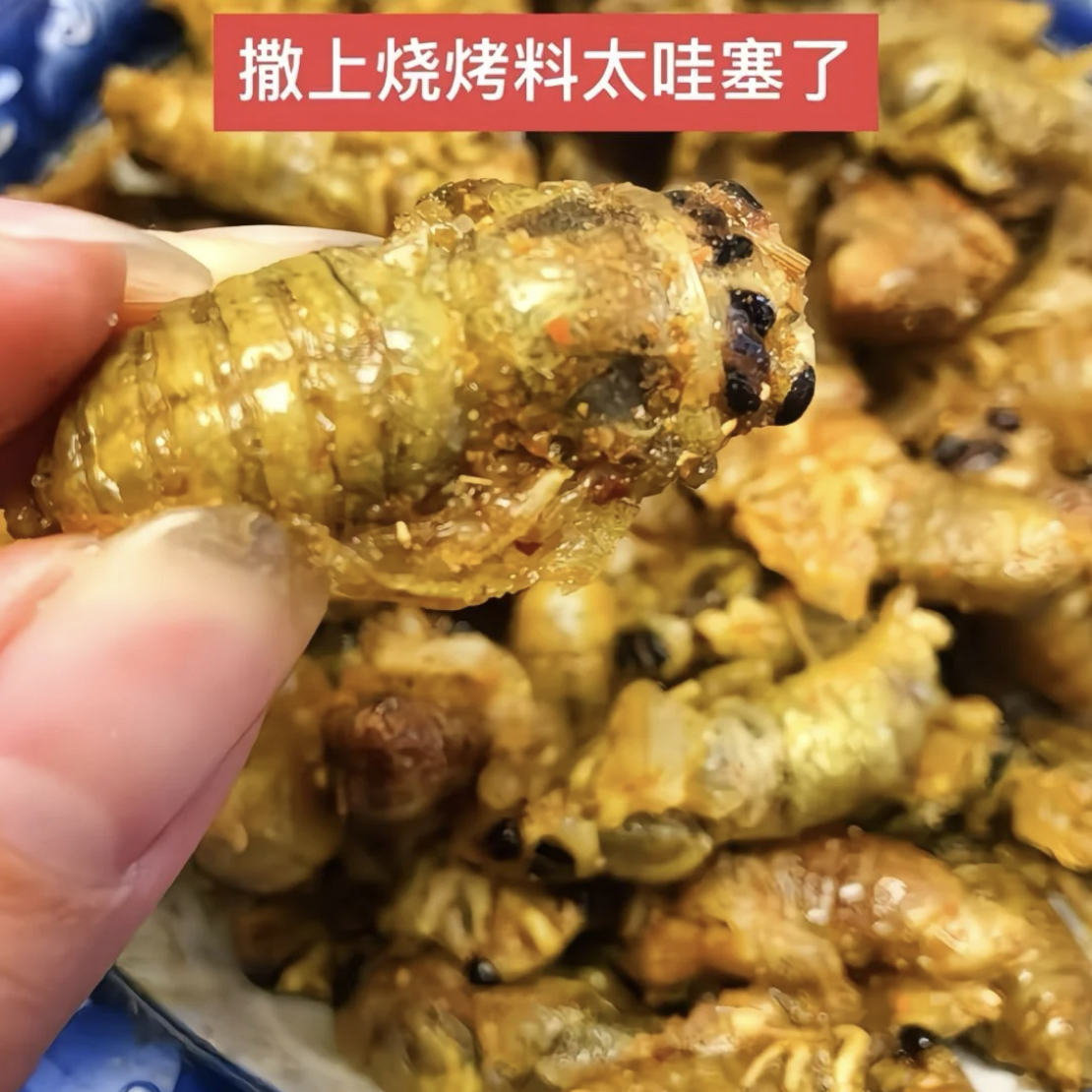 大个头）2025新鲜山东脱壳知了 白蝉 1瓶50只顺丰包邮 油炸爆香