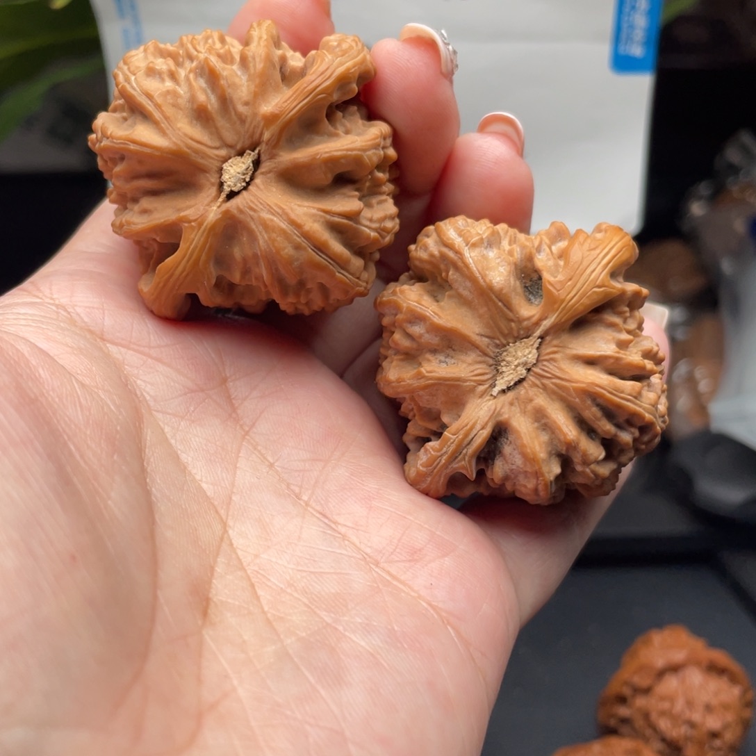 文玩核桃把件白狮子