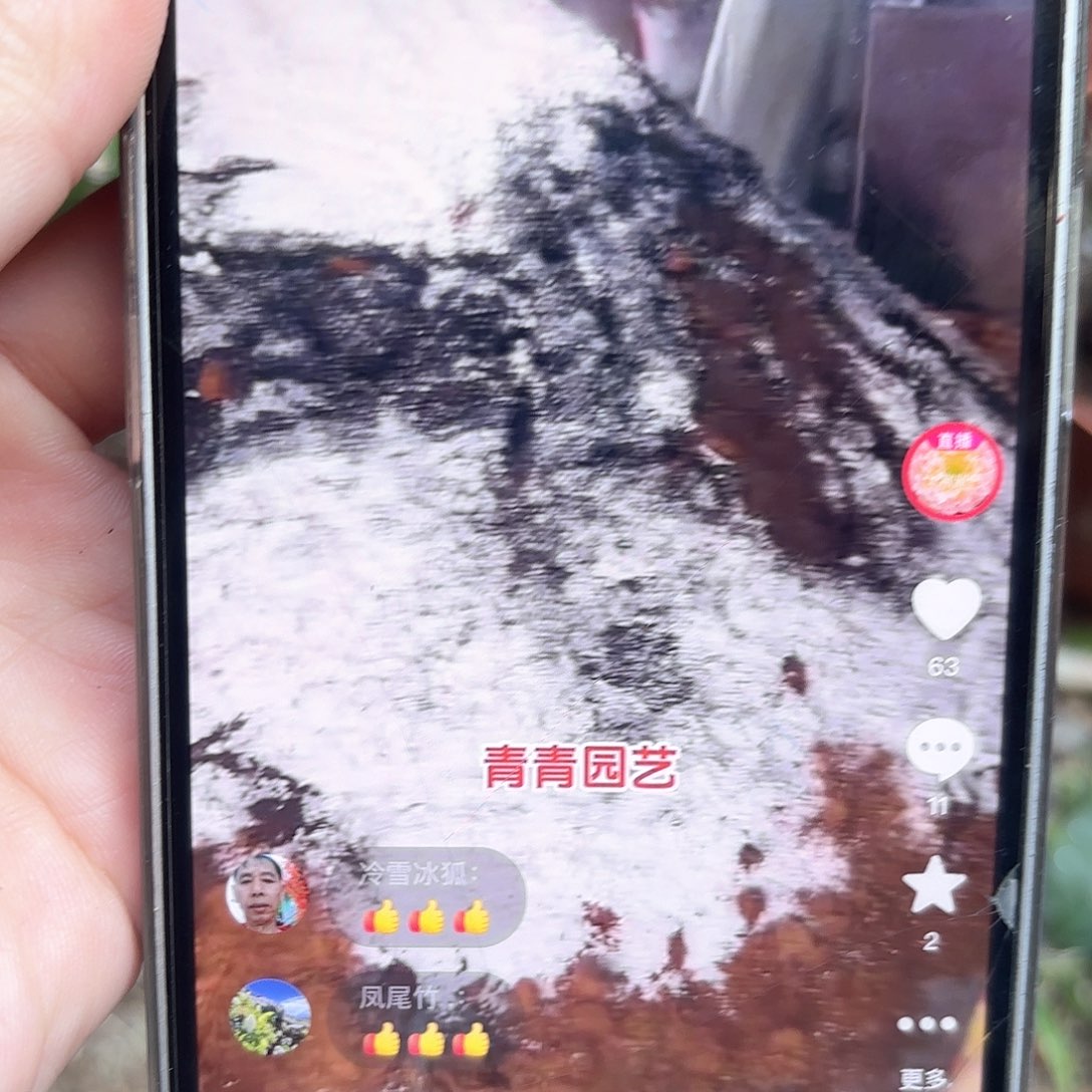 彩草精选煤渣土5斤20