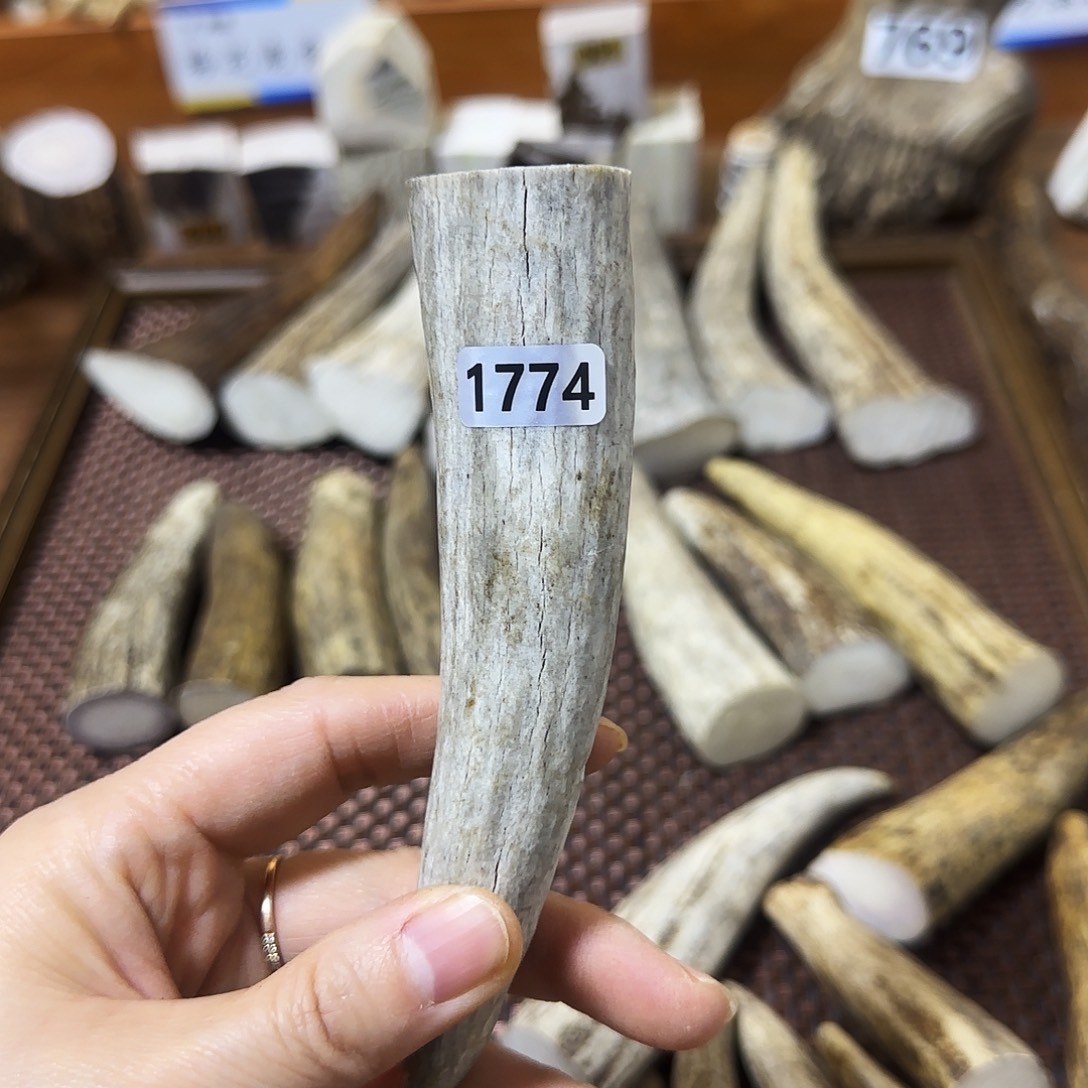 手串/手链鹿骨1774角尖