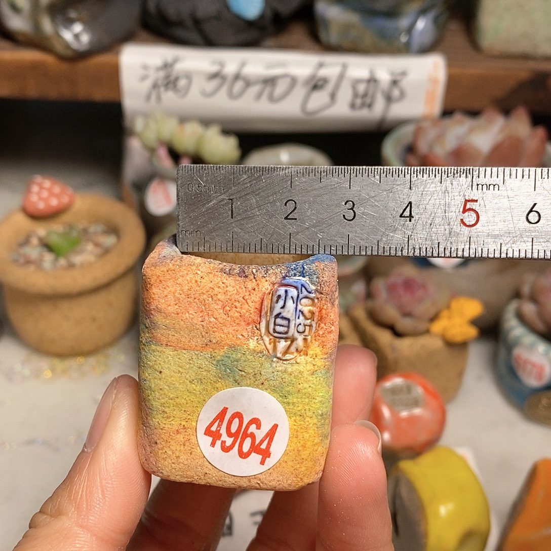 红陶拍5送一个小