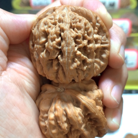 文玩核桃吊坠初*三粗筋