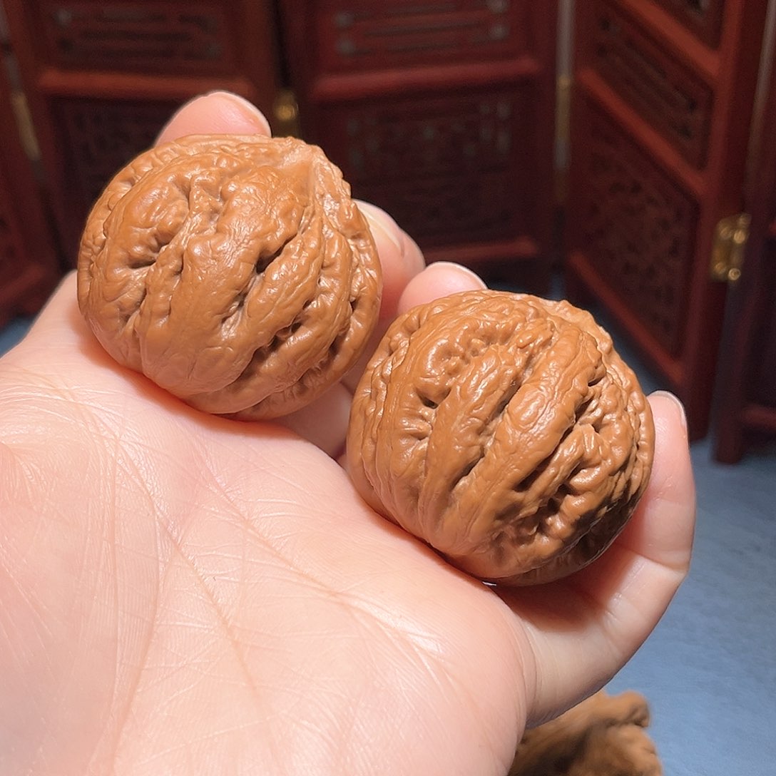 过*39全品霸王龙……