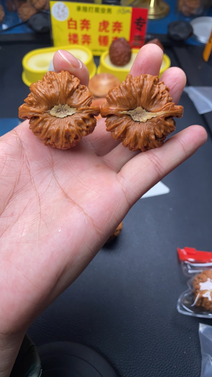 45白狮子聚宝盆文玩核桃