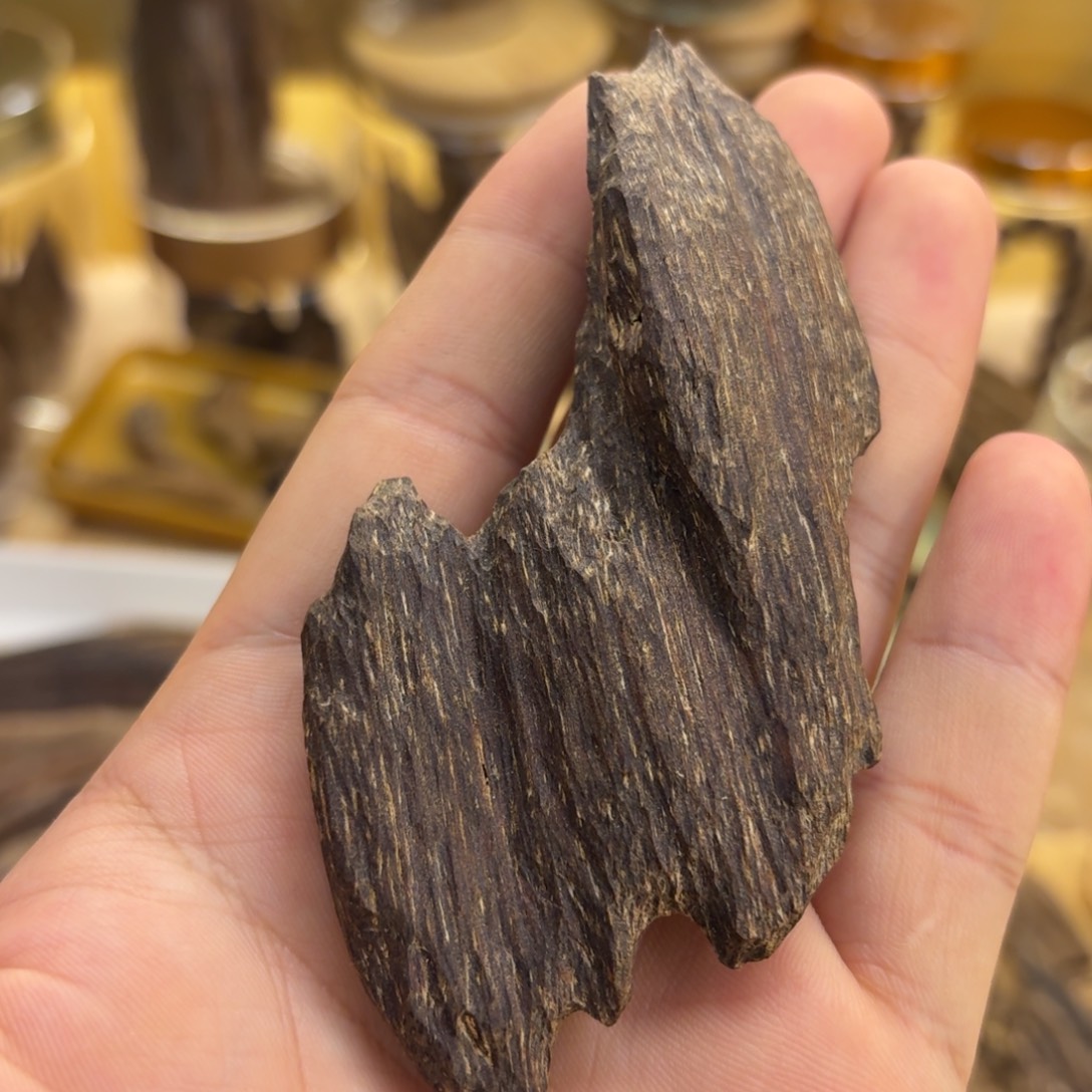 香港树心虫漏高油10.3克