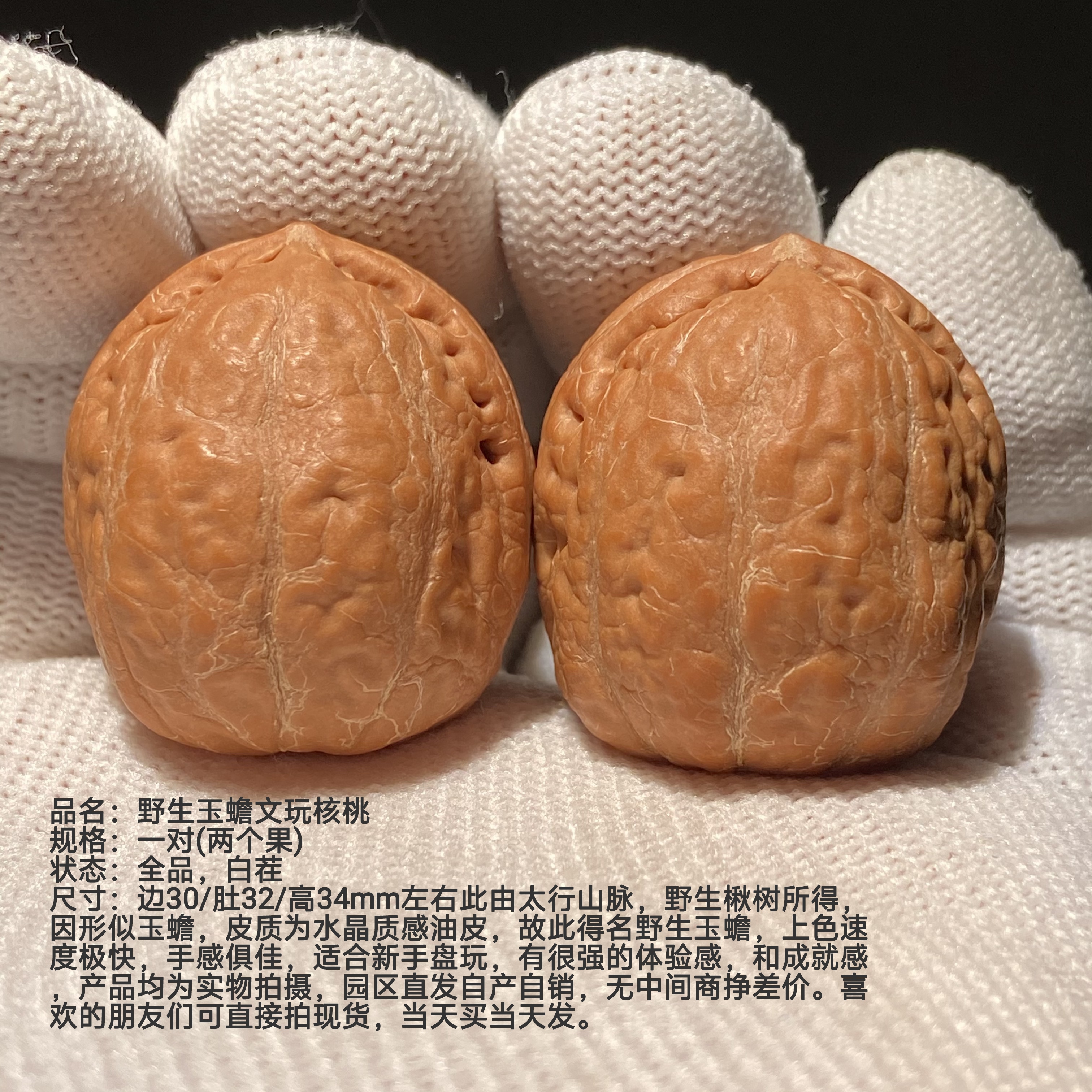 文玩核桃野生玉蟾核桃，白茬核桃上古玉蟾金蟾手捻